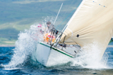 strike 3 gbr3771 whyw16 thur 800 4728w